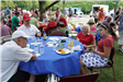 Independence Day Picnic and Parade